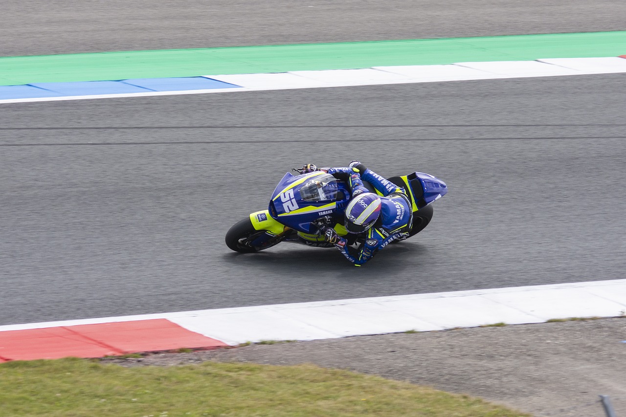 控制住公牛 控制住公牛